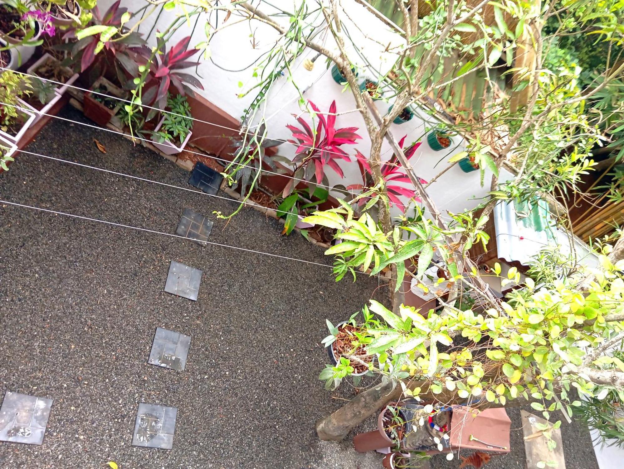 Ramesh Guesthouse Mirissa Ngoại thất bức ảnh