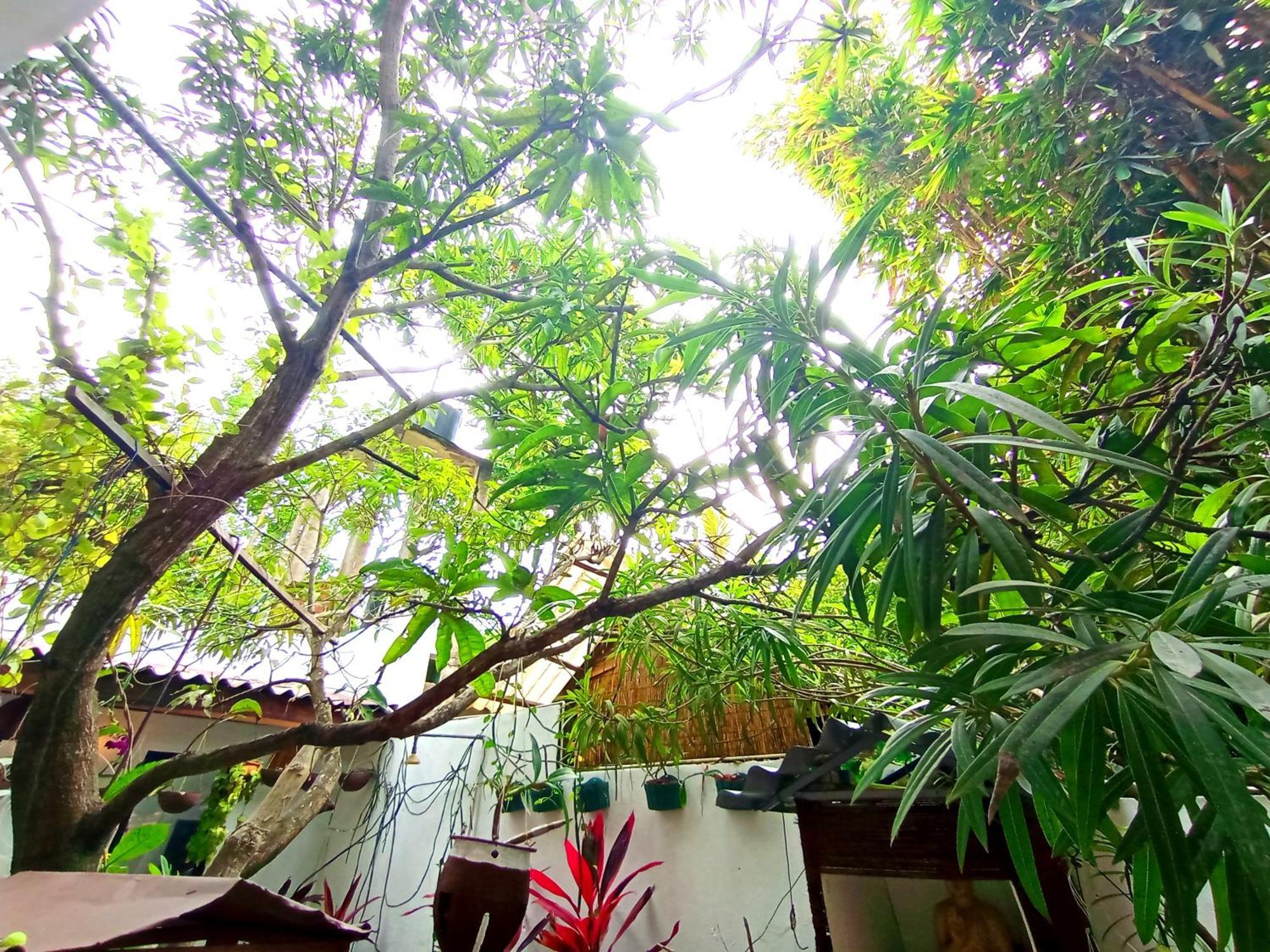 Ramesh Guesthouse Mirissa Ngoại thất bức ảnh