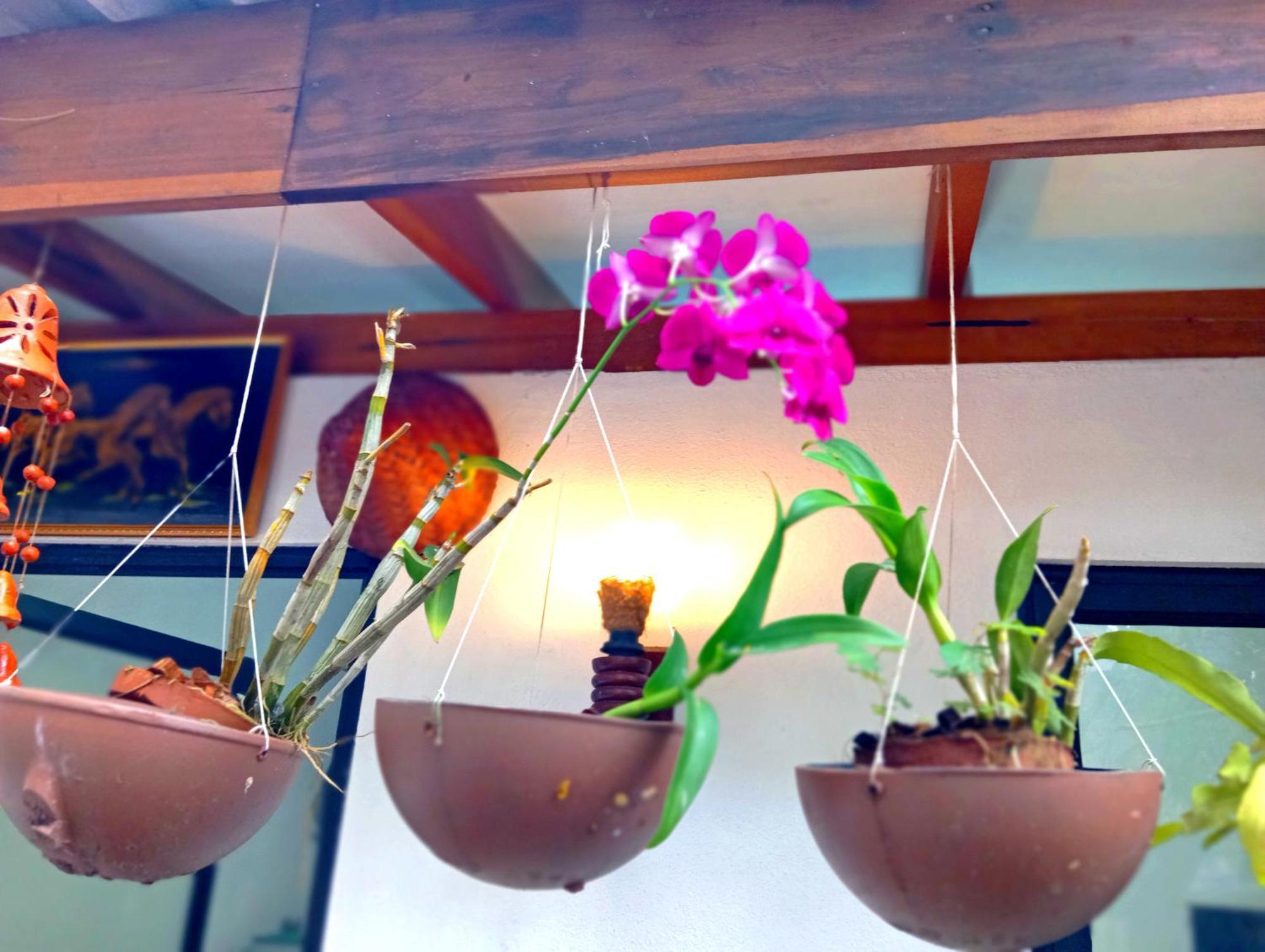 Ramesh Guesthouse Mirissa Ngoại thất bức ảnh